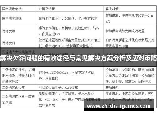 解决欠薪问题的有效途径与常见解决方案分析及应对策略