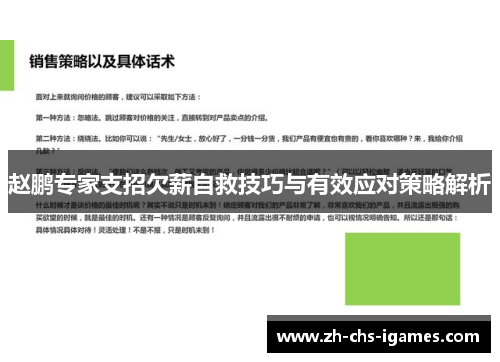 赵鹏专家支招欠薪自救技巧与有效应对策略解析